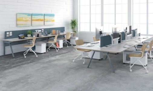 Watson Tonic Dual and Single Sided Workbench