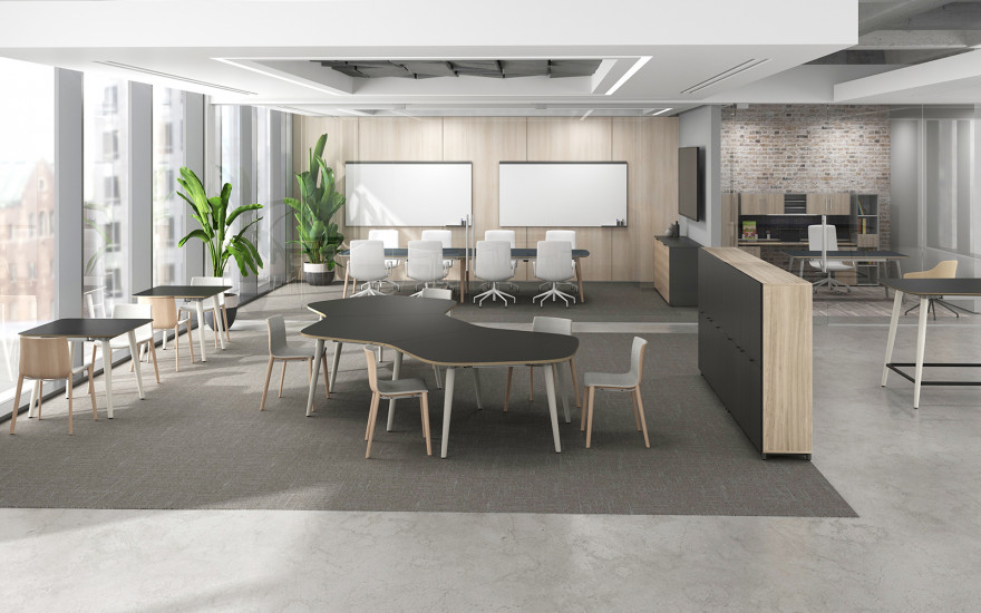 Mastermind Collection