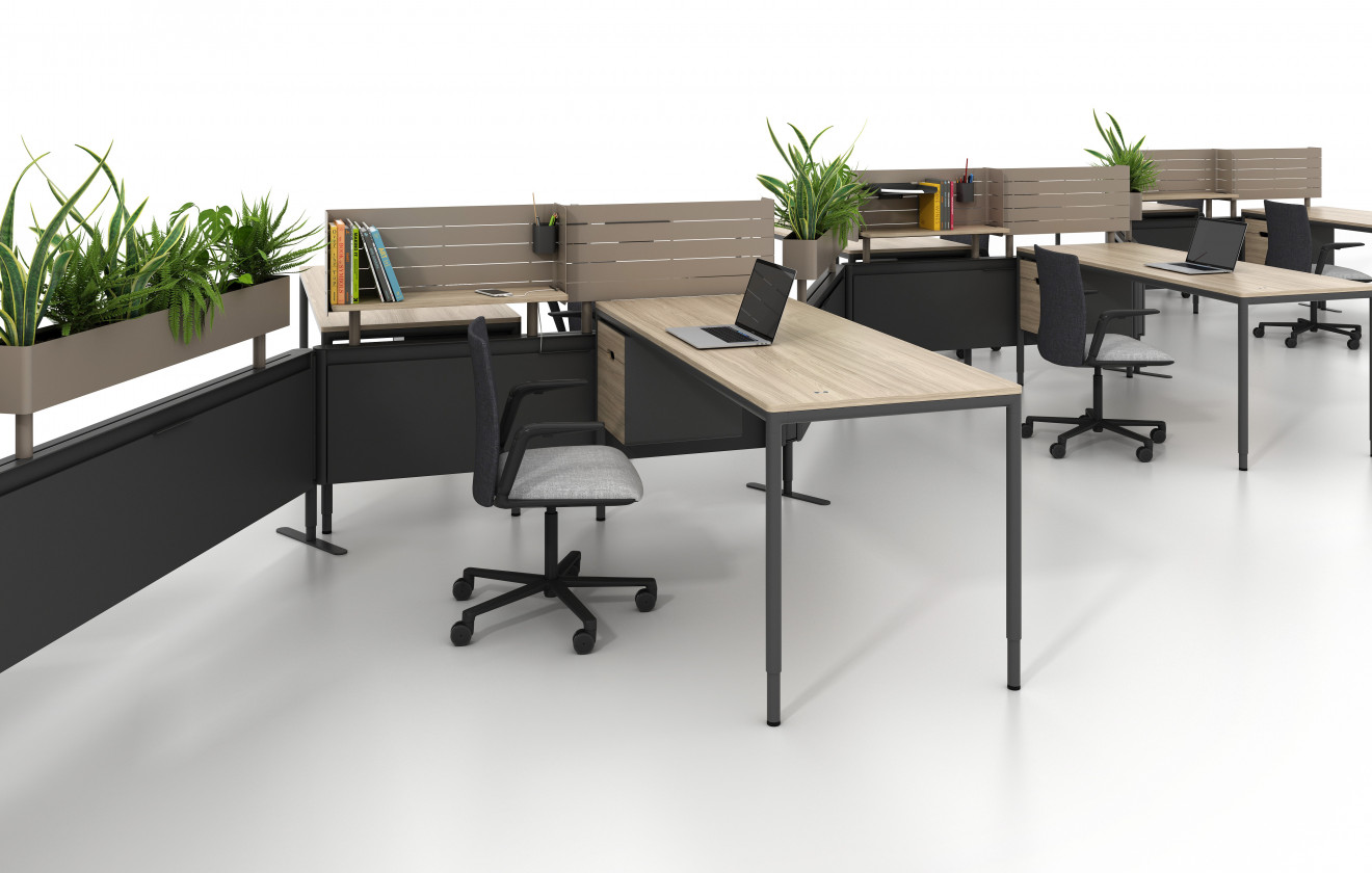 sCloud9Open-011 LowShot2024_Final