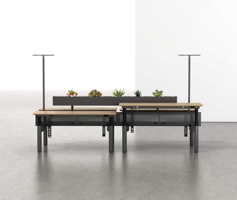 eEdisonOpen_017_4Pack_Light_S3