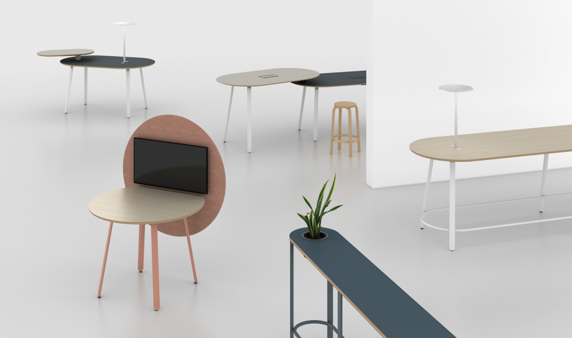 Haven Collection Banner