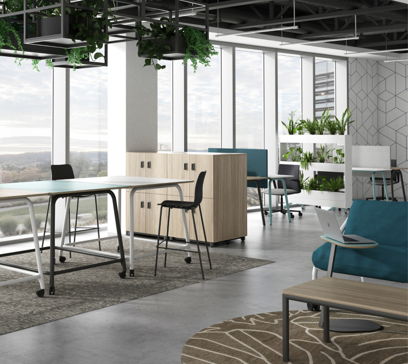 Alle Collection F4 840x750px